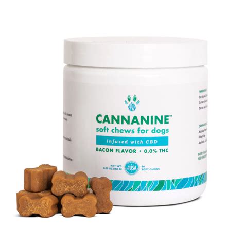 Relieving Canine Discomfort: The Benefits of Dog CBD Gummies for Pain