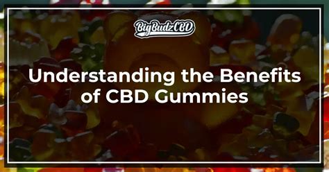 CBD Gummies for Pain Relief in 2025