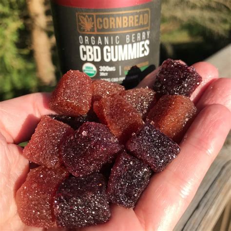 Understanding CBD Gummies Aftertaste