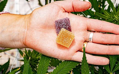 Understanding the Benefits and Effectiveness of CBD Bites Gummies Reviews