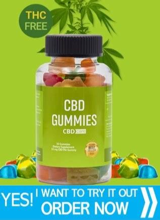 Understanding the Benefits and Efficacy of Activegenix CBD Gummies