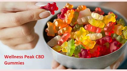 Understanding the Benefits and Legitimacy of Wellness Peak CBD Gummies