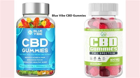 Understanding the Benefits and Reliability of Blue Vibe CBD Gummies Reviews