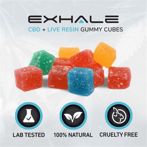 Understanding the Benefits of Exhale CBD Gummies for a Healthier Lifestyle