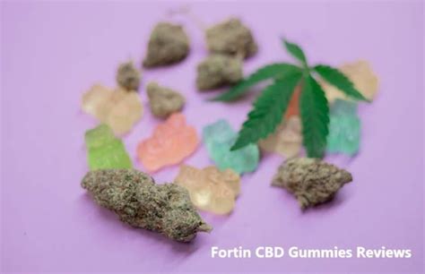 Understanding the Benefits of Fortin CBD Gummies: A Comprehensive Review