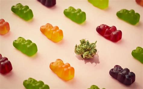 Understanding the Benefits of Herbal Harmony CBD Gummies Reviews: A Comprehensive Analysis