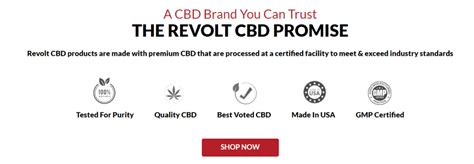 Understanding the Benefits of Revolt CBD Gummies for Enhanced Wellbeing