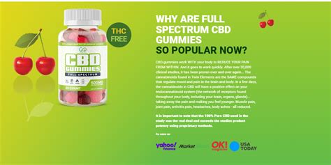 Understanding the Benefits of Twin Elements CBD Gummies for Overall Well-being