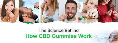 Understanding the Benefits of Vigorita CBD Gummies for Overall Well-being