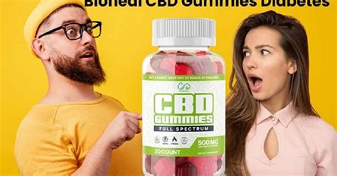 Unleashing the Power of Shark Tank Bioheal CBD Gummies: A Comprehensive Guide