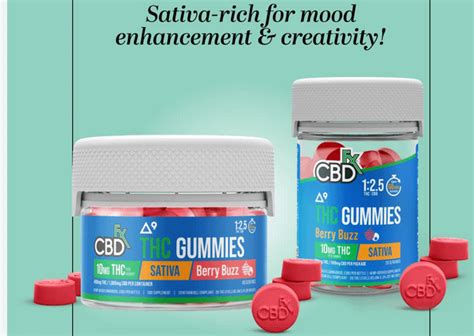 What Are the Ingredients in Blue Vibe CBD Gummies: A Comprehensive Analysis