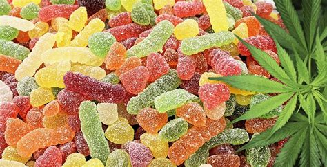 What is a CBD Gummy: Understanding the Benefits and Uses of CBD Edibles