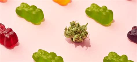 What is CBD Gummies Made From: A Comprehensive Guide to Understanding the Ingredients and Benefits